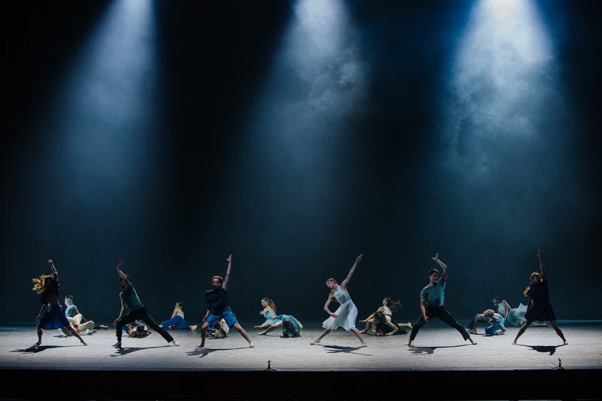 lausanne theme for rapidweaver